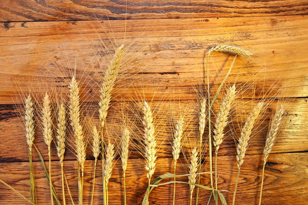 freeimagebay's tweet photo. #farming #background #nature Wheat on a wooden background
download the full resolution at http://t.co/wz2mtOyI1L http://t.co/2ECNewM7tB