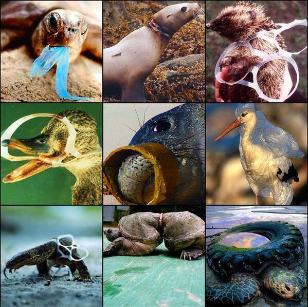 _Paisajes_'s tweet photo. Aun estamos a tiempo de evitar todo esto! http://t.co/rnwOxaU2UX