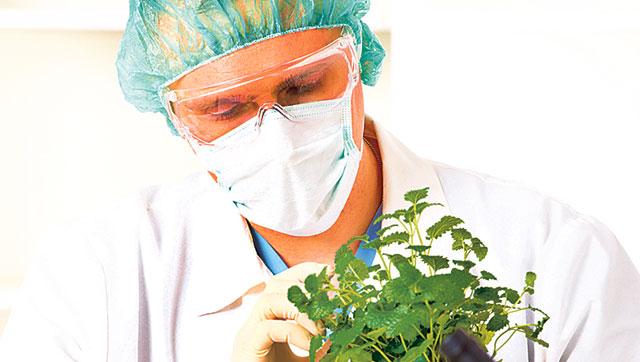 htTweets's tweet image. Great demand for food technologists in modern industrial world. read.ht/rug