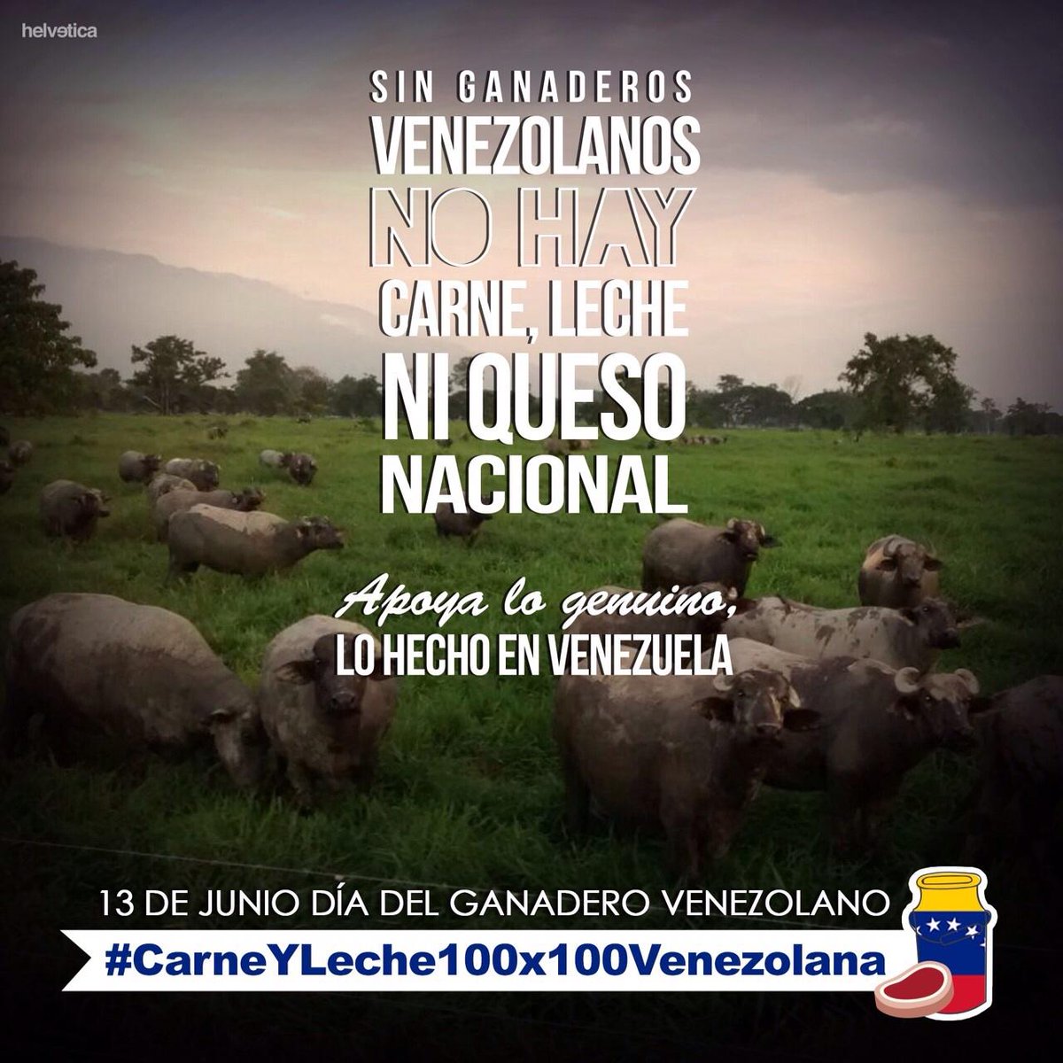 Sin el campo no hay futuro. #CarneYLeche100x100Venezolana <a href="/GADEMA1/">GADEMA</a> <a href="/fegalago/">FEGALAGO</a> <a href="/fedenaga/">FEDENAGA</a> <a href="/CarlosOAlbornoz/">CarlosAlbornoz</a>