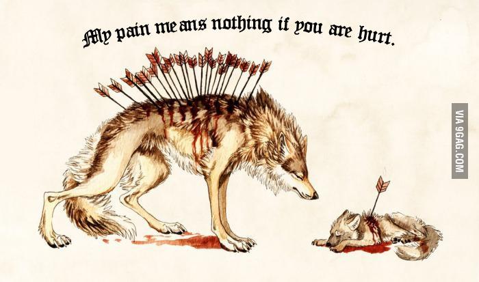 9GAG's tweet photo. You are more important than me.
http://t.co/HwLIicUfNj http://t.co/3RjZ4EKFY3