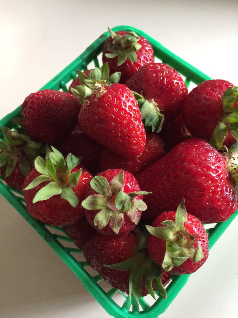vinateacup's tweet photo. YUM! I am very lucky to live in a place with such amazing seasonal produce #loveONTfood #niagara #strawberries http://t.co/LU2kD7vER3