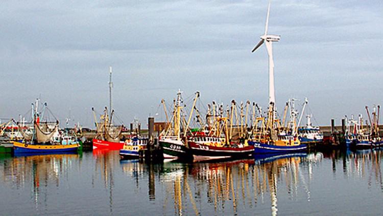 Vrolijk festival Lauwersoog heeft serieuze boodschap rtvnoord.nl/?p=150260 #rtvnoord