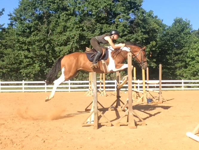 InsideTurn's tweet image. More teddy spam 😁😍