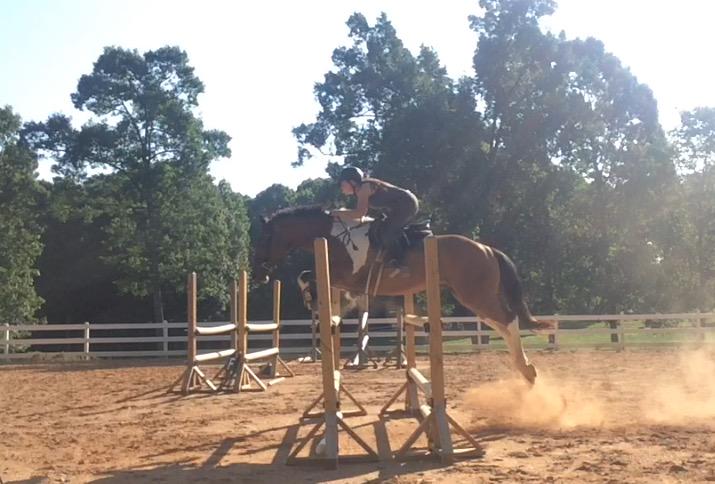 InsideTurn's tweet image. More teddy spam 😁😍