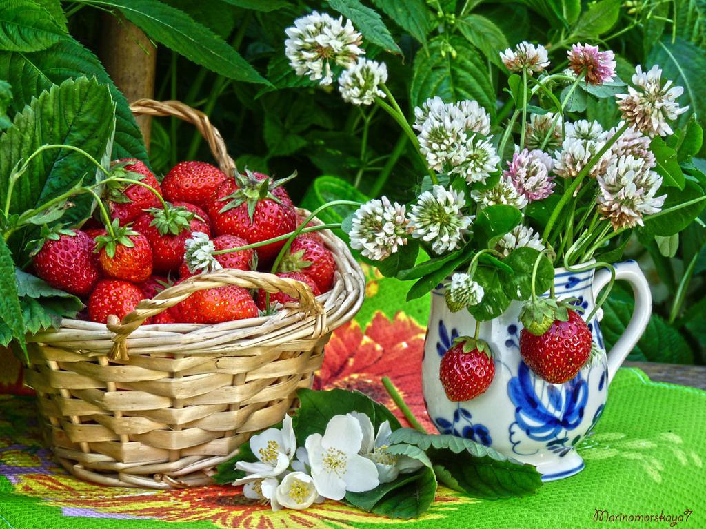 Летняя поздравительная открытка