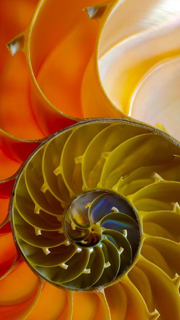 tenjee2's tweet image. 