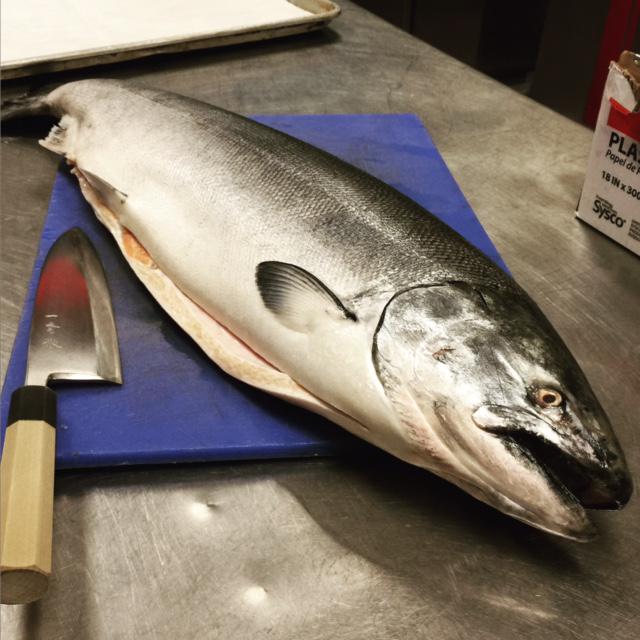 sevensbargrill's tweet photo. California wild King Salmon, caught off of Fort Bragg, courtesy ABS Seafood...#elevate http://t.co/8z63yBUTxs