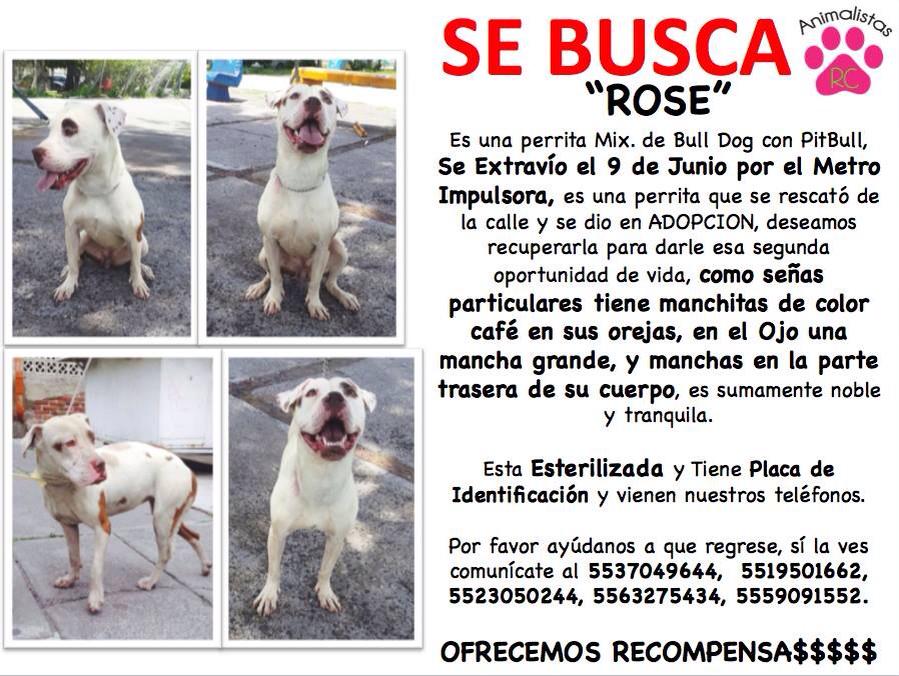 Israel González tweet media