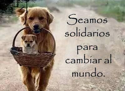 Forpazhn's tweet photo. Nuestro principal propósito en esta vida es ayudar a otros, haz tu parte "SE SOLIDARI@"
#DaleClickALaPaz http://t.co/xXIuJk853u