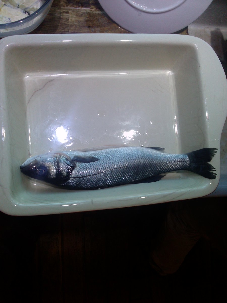 marvinthefish's tweet photo. Spa weekend - just getting ready to go into the sauna. #fishbliss http://t.co/X6UdmTNBEF