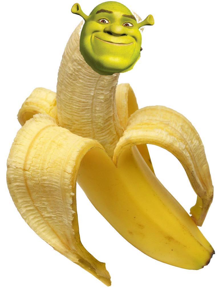 A shrek fanfic on Twitter: "some of the very best fanart 