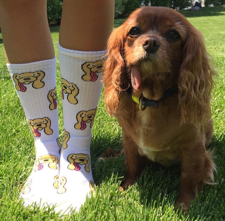 ginlane's tweet image. These are dope and for a good cause: @friendsofFINN. By @BARONVONFANCY x @janik_andrew ~ get at @AmericanTwoShot 🐶