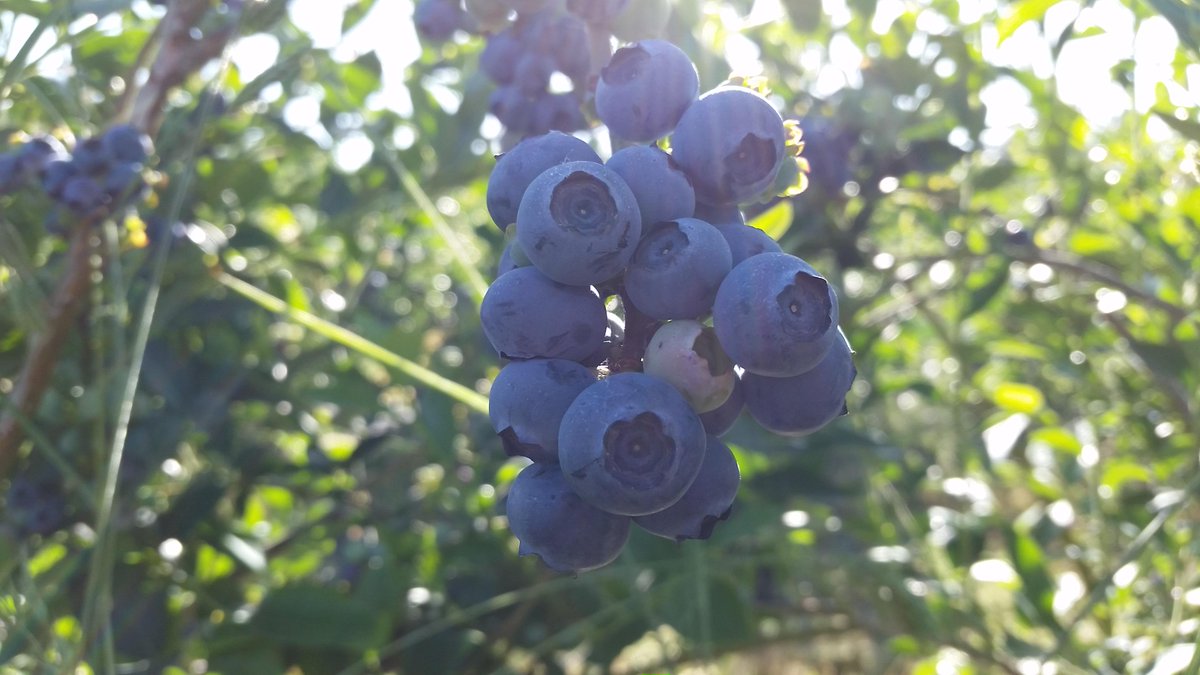 Elizabeth Miller tweet media