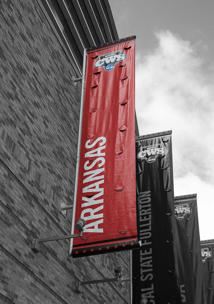 EvoShield's tweet photo. PICK YOUR #CWS CHAMPS: RT for @RazorbackBSB. #Omaha http://t.co/tEI01Swskk