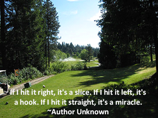 golfmacemeadow's tweet image. Do you believe in golf shot miracles? @macemeadowgc #funwithgolf #golfpioneer