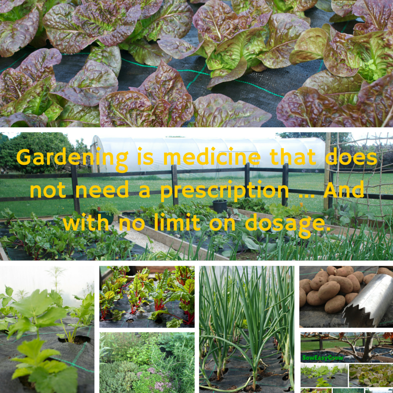 SowEasyGrow's tweet photo. #gardening #soweasygrow http://t.co/vTpwIYaMKi