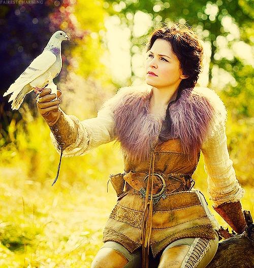 Rol Story Forest Off tweet media