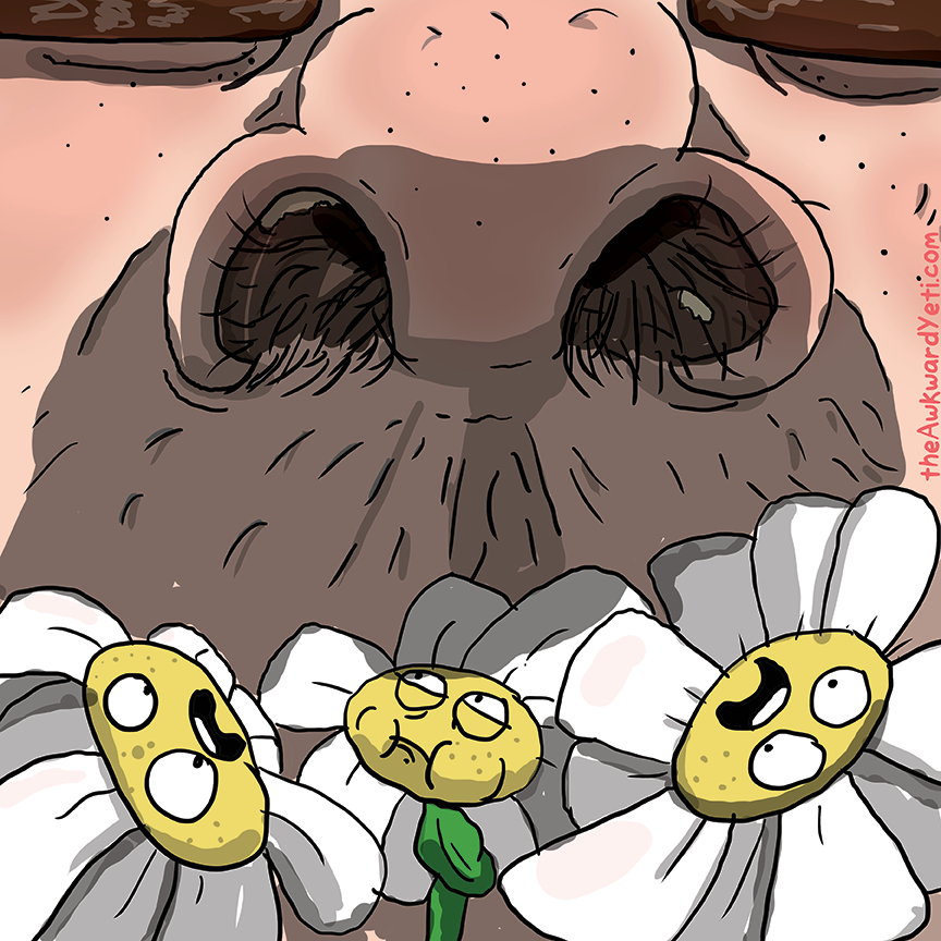 theawkwardyeti's tweet photo. http://t.co/JY0LK0s0kv