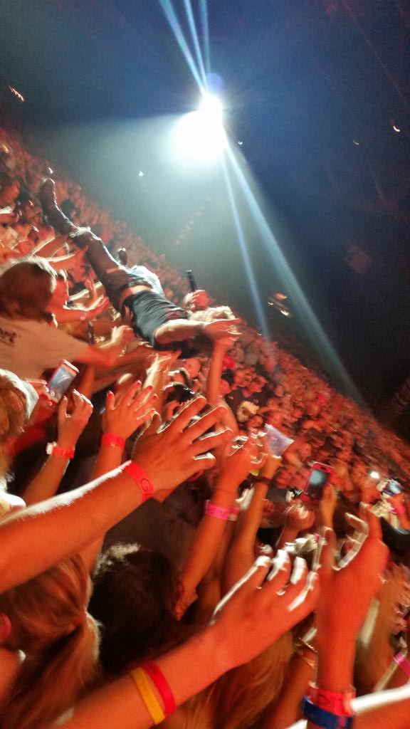 Amanda Fitzgibbons tweet media