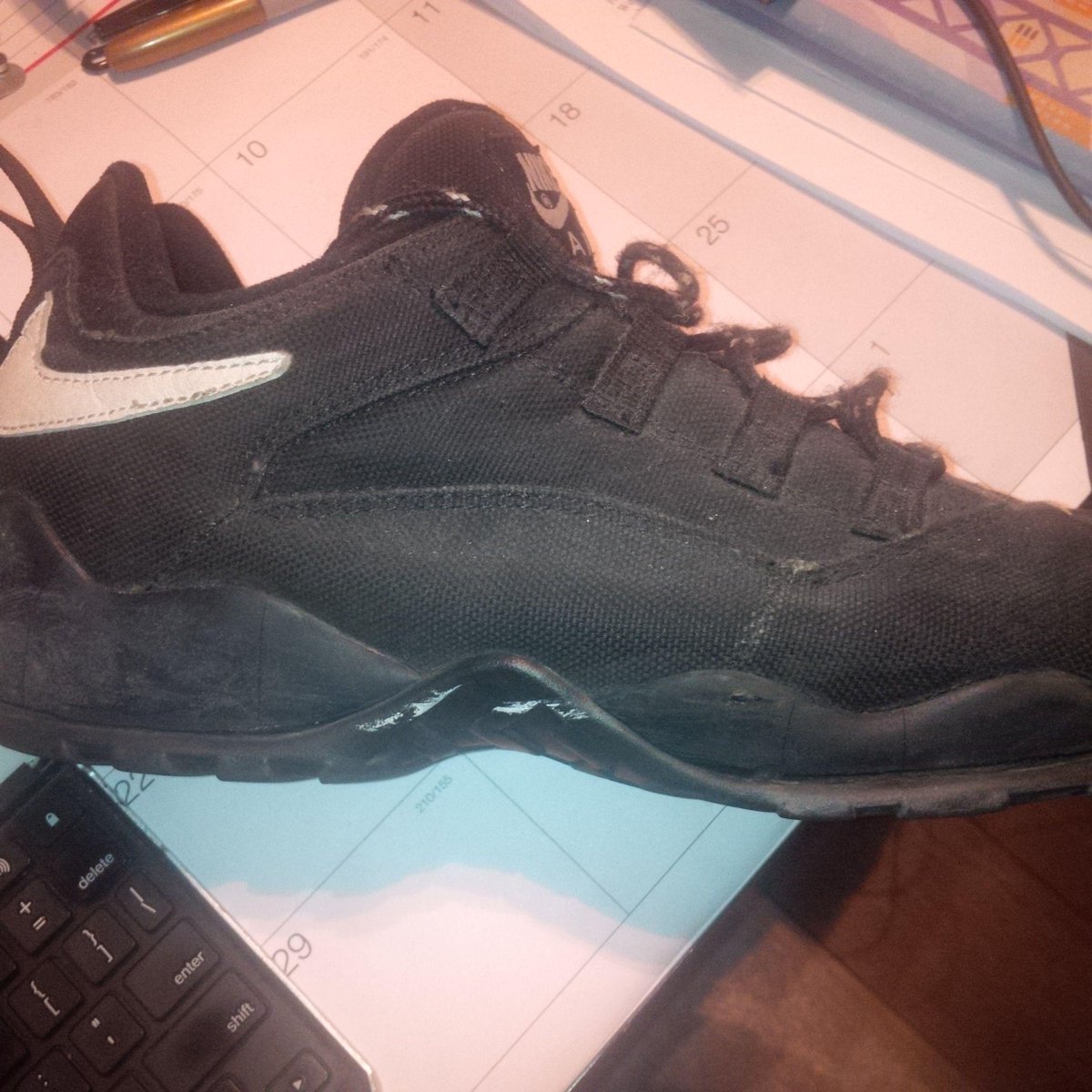 nike air darwin low canvas