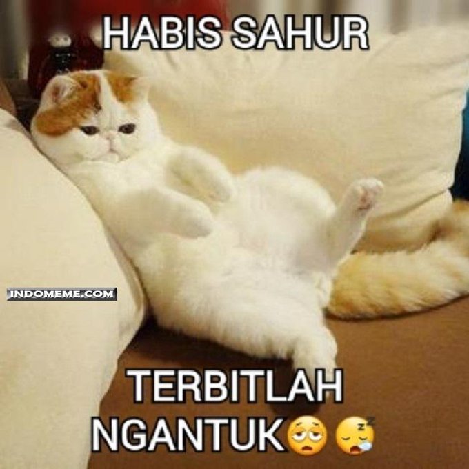 35 meme puasa paling LUCU! - Chirpstory 35 meme puasa paling LUCU! - Chirpstory