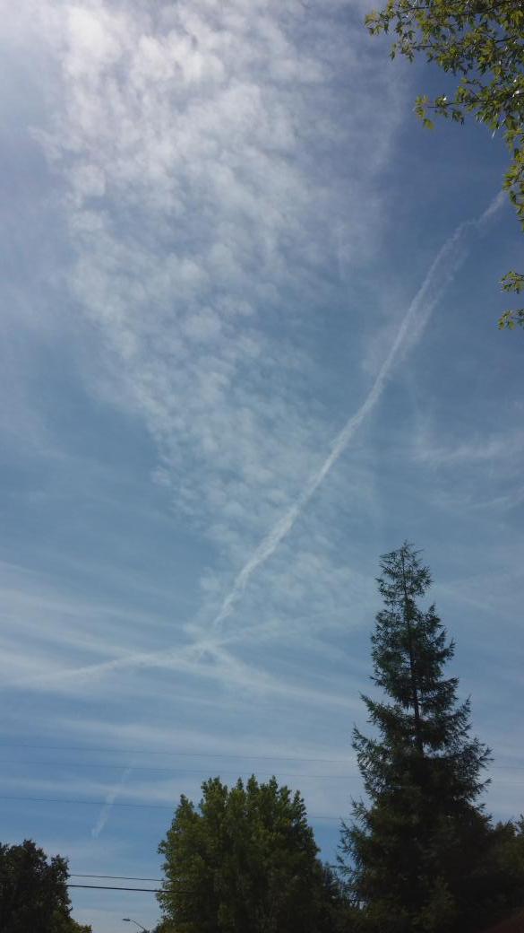 TerminatorBarbi's tweet image. Photo #3 taken in Shasta county, CA today. This is #Geoengineering #WeathModification using aluminum aerosol 😕