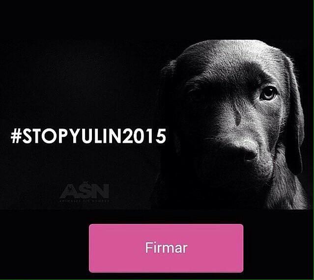 JeniiBasalo's tweet photo. Firma contra la matanza de perros que se realiza para el festival de yulin en China. http://t.co/W6sHFsiCVE http://t.co/BUcTooI0yT