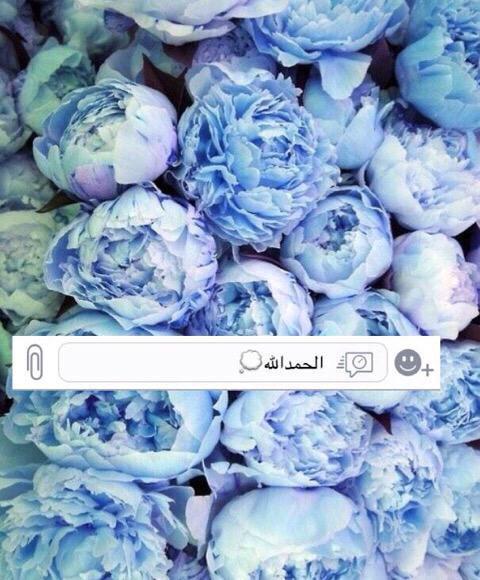 غانم tweet media