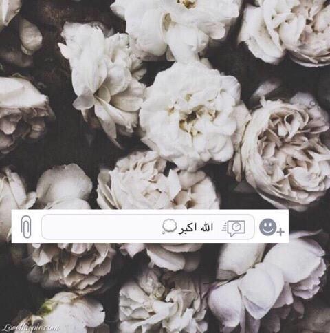 غانم tweet media