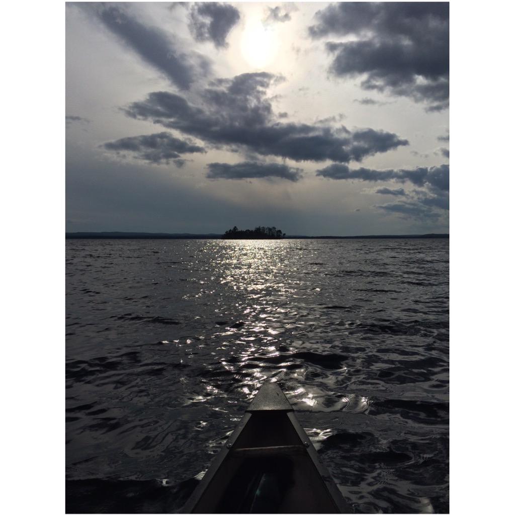 verasoons's tweet photo. About last weekend, #algonquin #kanoe http://t.co/DFxzDxnHqv