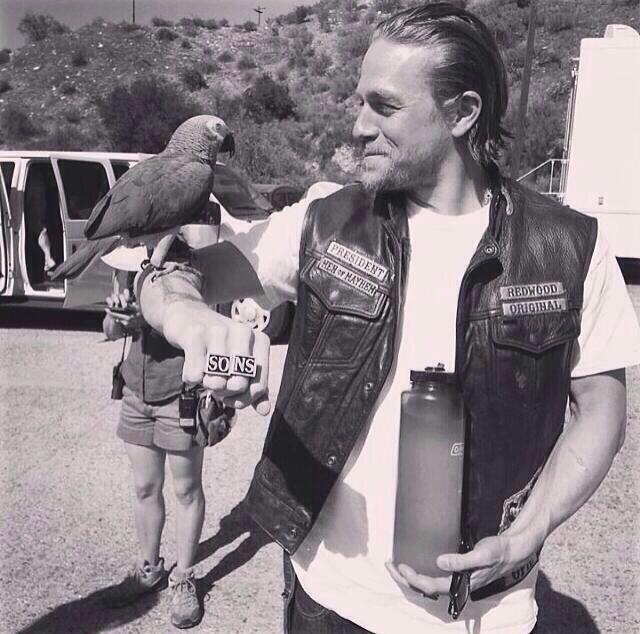 InfamousVox's tweet image. 