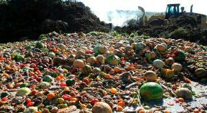 Ecogranjero's tweet photo. Desperdiciamos entre 30 y 40% d los nuestros alimentos
Mientras tanto 870 millones d personas padecen hambre cronica http://t.co/k0QH4QEuvd