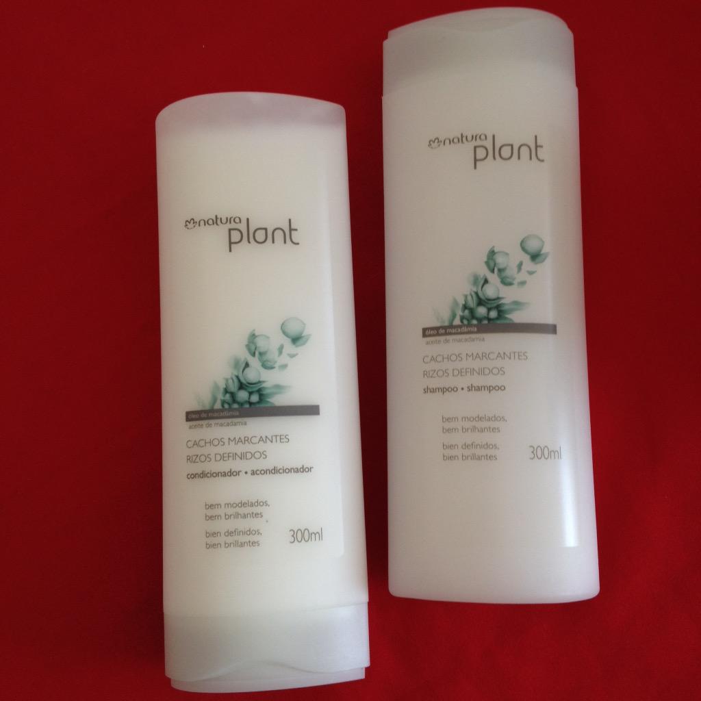 Descubrir 90+ imagen natura plant rizos definidos Abzlocal.mx