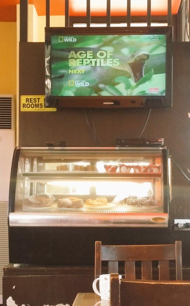 honfinity's tweet image. I can stay here all day everyday just watching this channel.