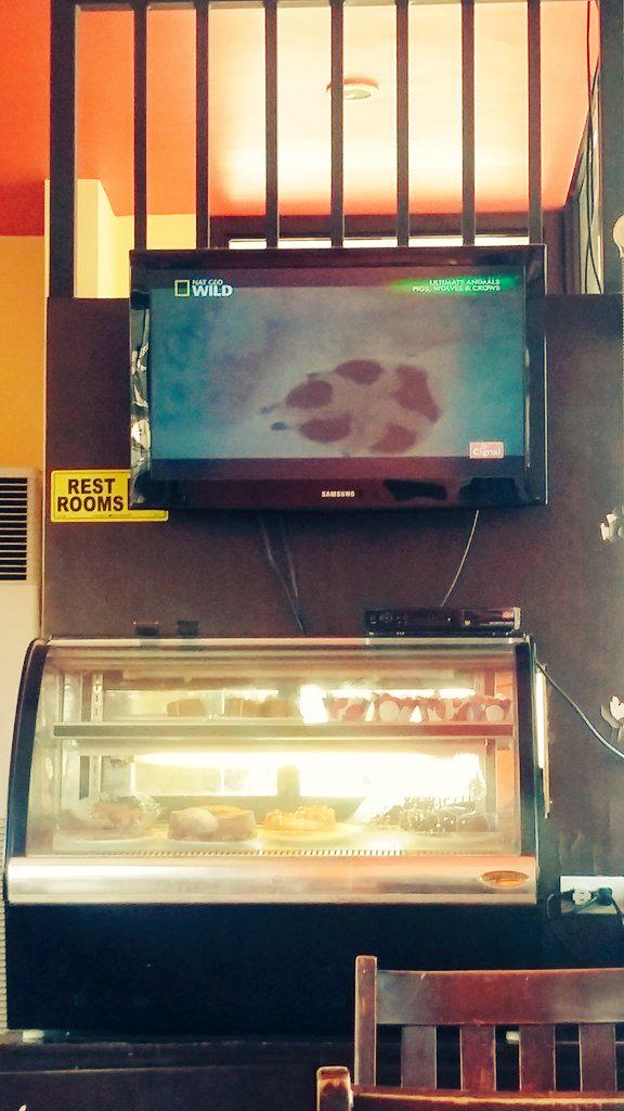 honfinity's tweet image. Just this channel is enough... #natgeowild