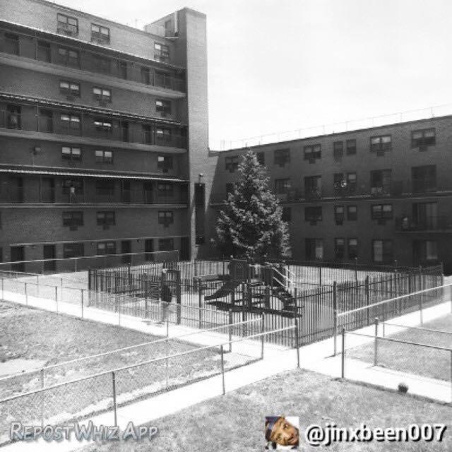 Lougotcash's tweet image. This what I stand for #DaBricks