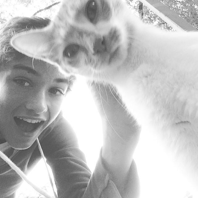 gavincasalegno's tweet photo. I found this lil girl and im starting to like cats🙈 #lostcat #foundacat http://t.co/tUdkr2vbyt http://t.co/DHRRJcyrjq