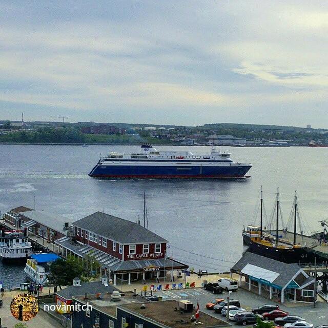 haligonia: photostream tweet media