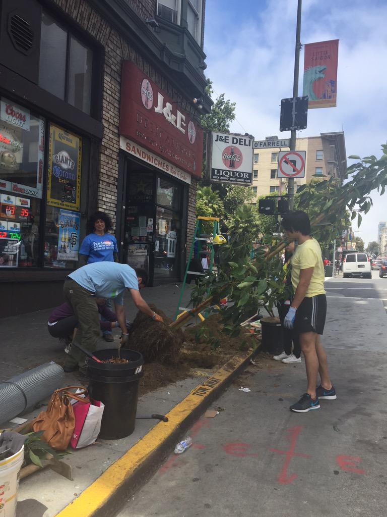 stephaniestran's tweet photo. Planting trees in the Tenderloin with #TechPlantsSF @SFUrbanForester @ky_huang and @twitterforgood! http://t.co/d9o22PIU0d