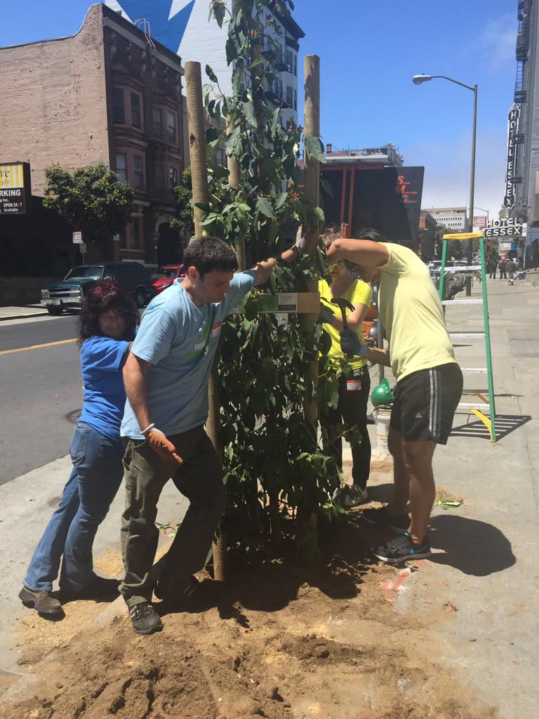stephaniestran's tweet photo. Planting trees in the Tenderloin with #TechPlantsSF @SFUrbanForester @ky_huang and @twitterforgood! http://t.co/d9o22PIU0d