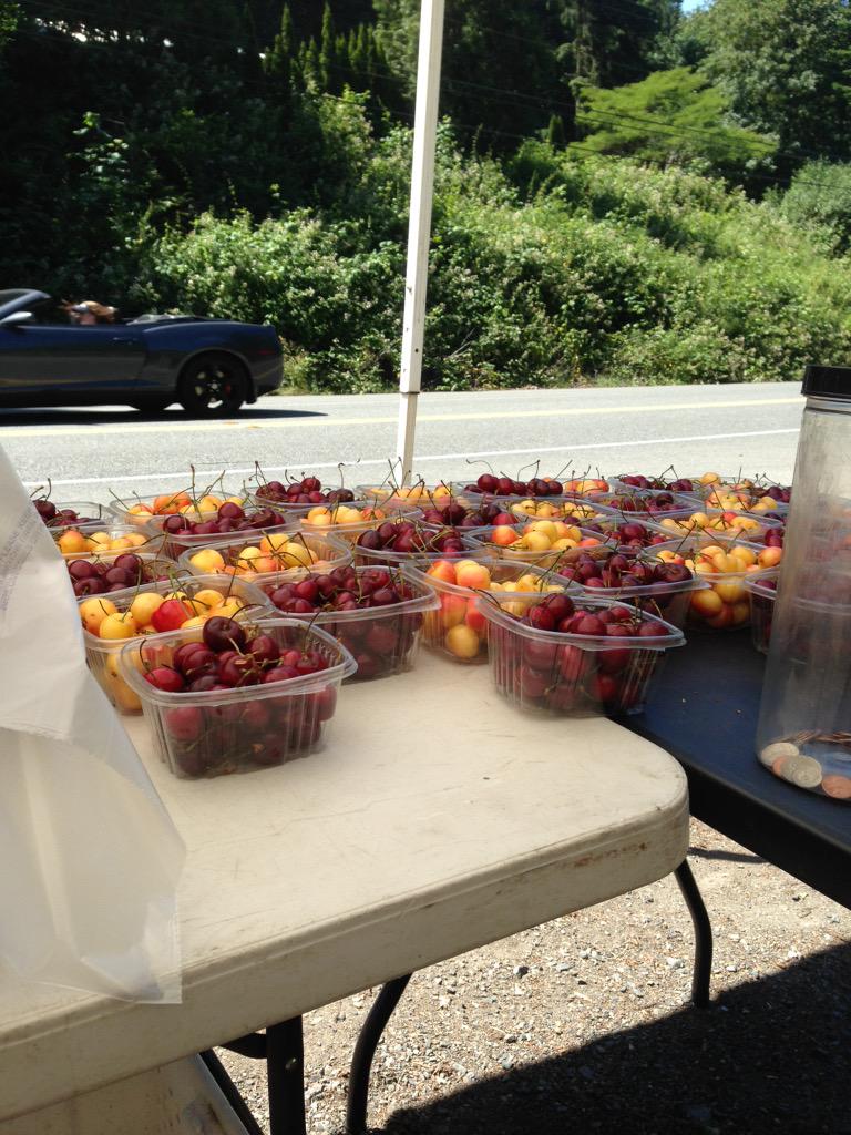 Tony Lundquist (@cherryguy_24) on Twitter photo 