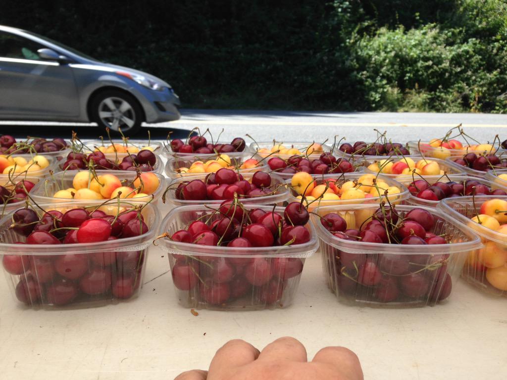 Tony Lundquist (@cherryguy_24) on Twitter photo 