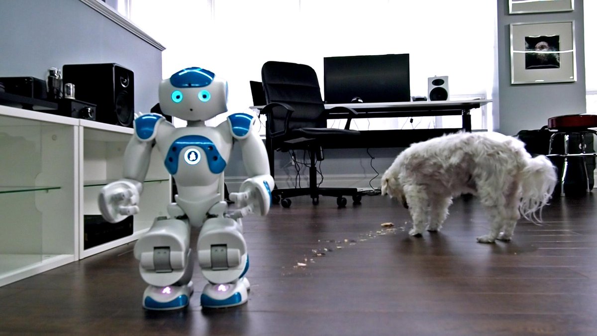 unbox therapy robot dog