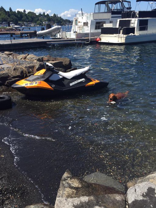 Jet skiing all day 😊 http://t.co/WOrlm4VJl9<a href="/tag/curry2"class="tags"><span>#curry2</span></a>