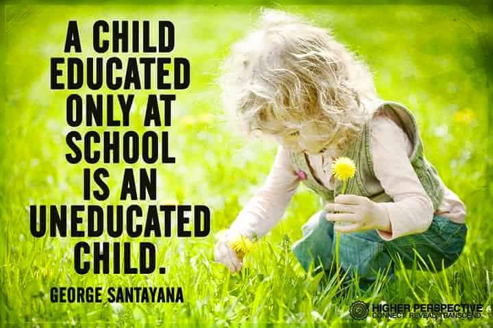 Themeefy's tweet image. #Learning happens as we live - capture experiences via our @MomentBoxApp #edchat #beyondtextbooks #education