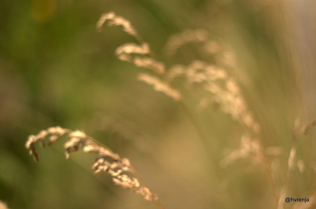 hvrenja's tweet photo. #WHPwindy http://t.co/Nw0Gt86mve
