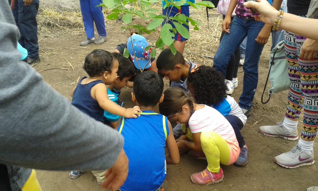 OPCPLAZA's tweet photo. La Alcaldia de Plaza Siembra  Árboles en Parque Curupao http://t.co/zhPv8Qh7mZ