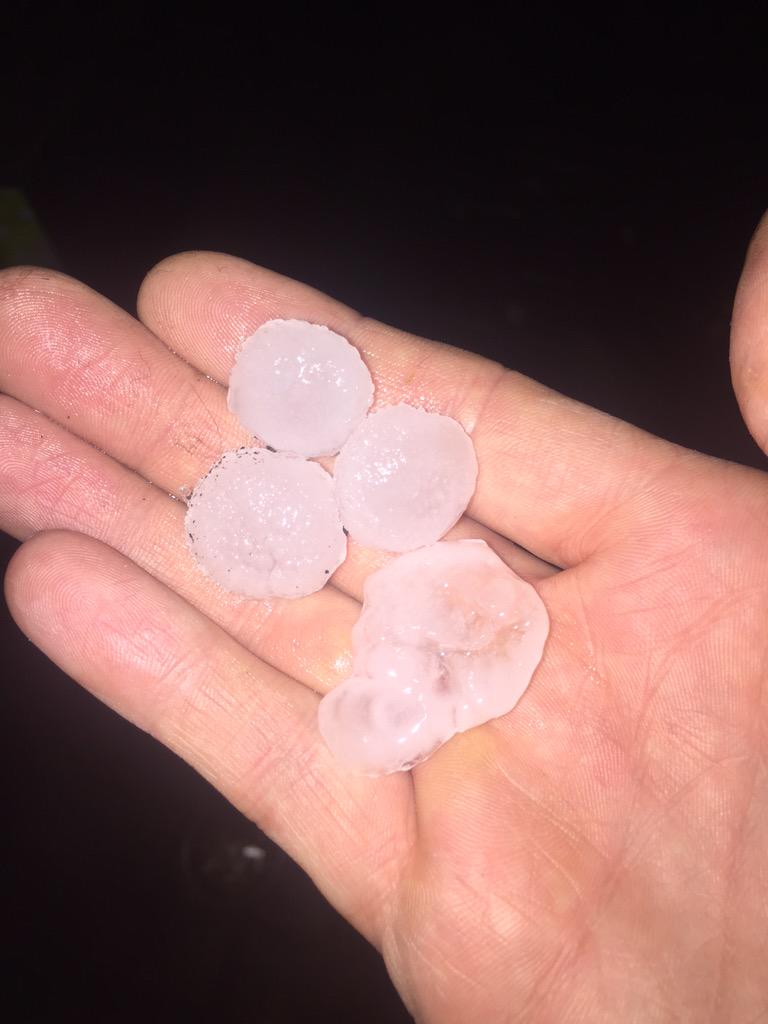 Dominik Hammerand tweet media