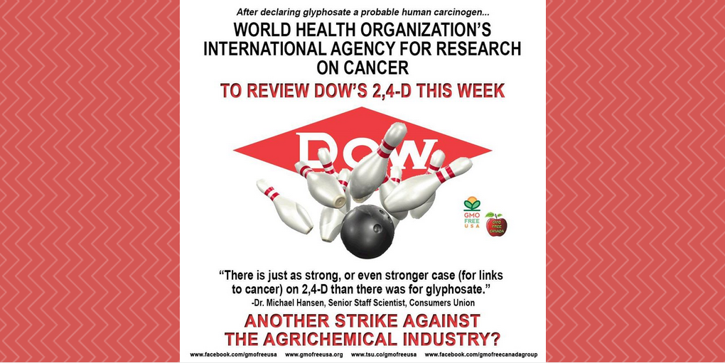 GMOFreeUSA's tweet image. The World Health Organization will examine 2/4-D + agribusiness is bracing for bad news. goo.gl/7p6ElB